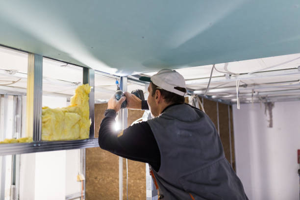 Best Commercial Insulation in Brookdale, CA